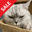 Hunting Cat Scalper trading robot logo