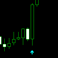 Professional Trade Arrow