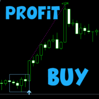 Scalper Box MT4 Conservative Strategy Tester result, 24% simulated ROI