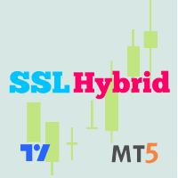 SSL Hybrid Conservative Strategy Tester result, 24.46% simulated ROI