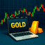 Niguru Gold V1 trading robot logo