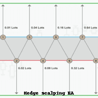 Fully hedge scalping EA trading robot logo