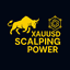 Xauusd Scapling trading robot logo