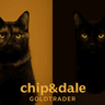 ChipanddaleGOLDtraderMT5