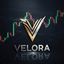 Velora MT5 trading robot logo