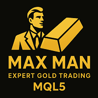 Max man Conservative Strategy Tester result, 8.56% simulated ROI