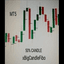 XbigCandleFibo trading robot logo