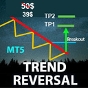 Trend Reversal Scanner MT5 trading robot logo
