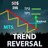 Trend Reversal Scanner MT5 Aggressive Strategy Tester result, -13.97% simulated ROI