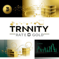 Trinity Gold Conservative Strategy Tester result, 8.46% simulated ROI