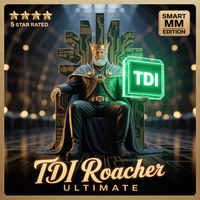 TDI Roacher Ultimate Smart MM Conservative Strategy Tester result, 8.75% simulated ROI