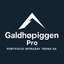 Galdhopiggen Pro trading robot logo