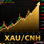 GoldenRMB Canldes trading robot logo