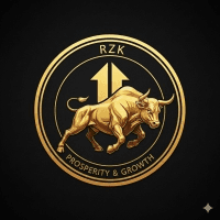 HunterRZK Conservative Strategy Tester result, 8.88% simulated ROI