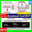 MT5 Breakout Scal BUY Bot Script for JPY Cross trading robot logo
