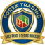 Daily Range and Ceiling Indicator trading robot logo