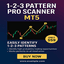 Pattern 123 Pro Indicator trading robot logo