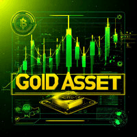 Gold Asset Conservative Strategy Tester result, 9.03% simulated ROI
