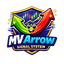 Arrow Signal System trading robot logo