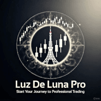 Luz De Luna Pro Conservative Strategy Tester result, 9.16% simulated ROI