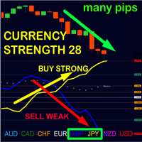 Advanced Currency Strength28 MT5 trading robot logo