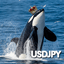 Orca USDJPY trading robot logo