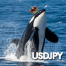 Orca USDJPY