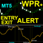 WPR with Alerts MT5 rr trading robot logo