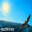 Falcon Eyes Pro Edition trading robot logo
