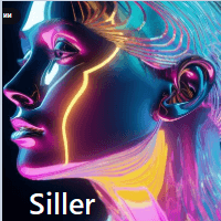 Siller Conservative Strategy Tester result, 5.18% simulated ROI