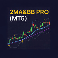 WizardMT5 Conservative Strategy Tester result, 9.57% simulated ROI