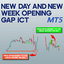 New Day and New Week Opening Gap ICT Indicator MT5 trading robot logo