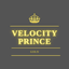 M30 Velocity Prince trading robot logo