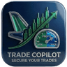 Copilot HUD