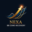 NEXA Bb Zone Recovery trading robot logo