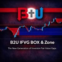 B2U Inversion Fair Value Gaps BoxZone Conservative Strategy Tester result, 9.89% simulated ROI