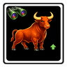 Minibull multi time frames sophisticated observer