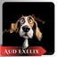 AUD Exelix MT4 trading robot logo