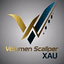 Volumen Scalper GOLD trading robot logo