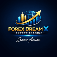 Forex Dream X Aggressive Strategy Tester result, -30.52% simulated ROI