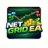 Net Grid EA