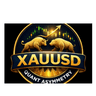 Gold Asymmetry Quant Pro