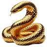 Golden Boomerang AI