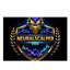 NeuronalScalper gold trading robot logo