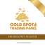 Gold Spot Fully Scalper System trading robot logo