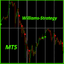 Williams True Zone Strategy trading robot logo