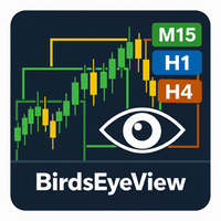 BirdsEyeView trading robot logo