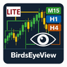 BirdsEyeView SingleTF
