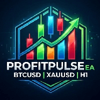 BtcUsd Trader AI Conservative Strategy Tester result, 10.47% simulated ROI