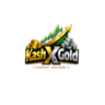 Kash X Gold